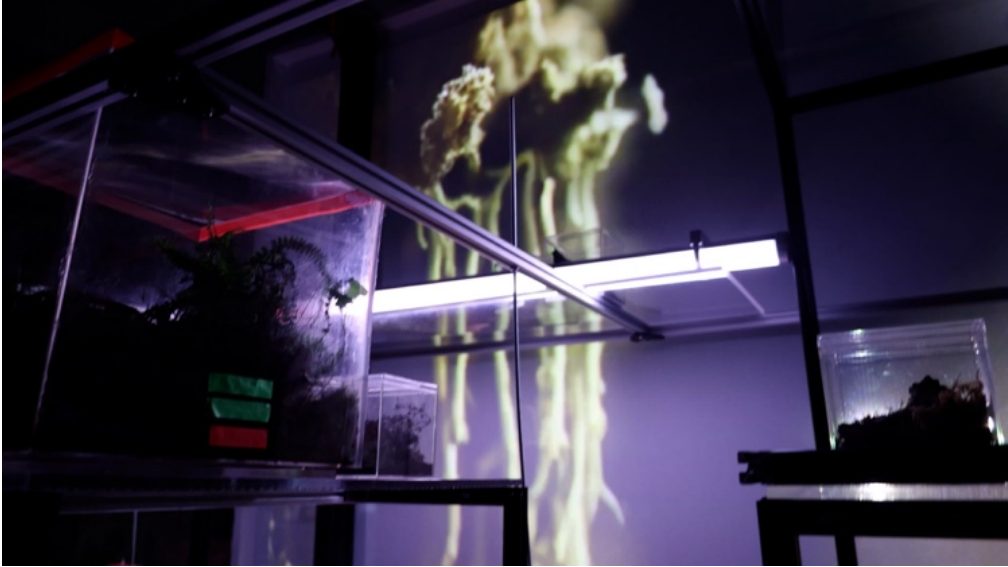 Living archive installation in the Hybrid Systems Lab